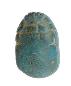 Scarab
Photographer:Mariana Salzberger