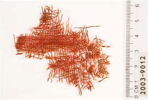 Textile Fragment
Photographer:Clara Amit