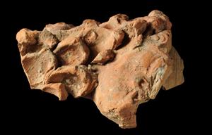 Fragment Figurine Zoomorphic
Photographer:Yolovitch Yael