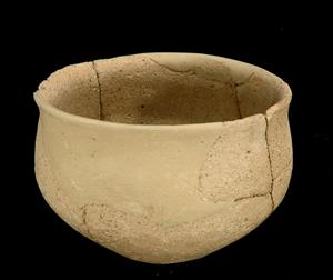 Carinated Bowl (once)  
 Photographer:Mariana Salzberger