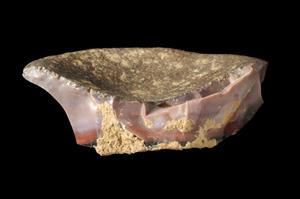 Fragment Small Bowl
Photographer:Yolovitch Yael