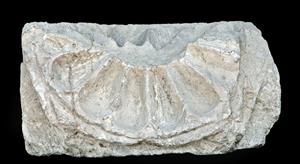Architectural Element Decorated in Relief 
 Photographer:Mariana Salzberger