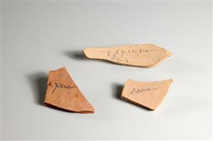Ostracon Latin
Photographer:Yolovitch Yael