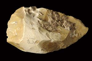 Handaxe  
 Photographer:Yolovitch Yael