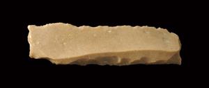 Sickle Blade
Photographer:Yolovitch Yael