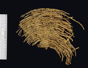 Fragment Basket
Photographer:Clara Amit