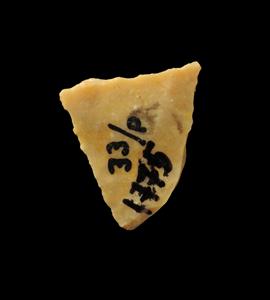 Transversal Arrowhead  
 Photographer:Yolovitch Yael