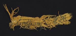 Fragment Textile
Photographer:Clara Amit
