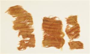 Fragment Textile
Photographer:Clara Amit