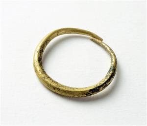 Earring
Photographer:Clara Amit