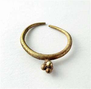 Earring  
 Photographer:Clara Amit