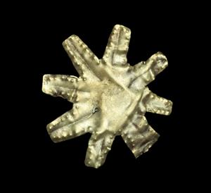 Pendant Eight-Rayed Star 
 Photographer:Clara Amit