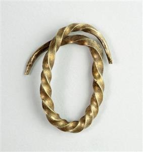 Earring Twisted 
 Photographer:Clara Amit