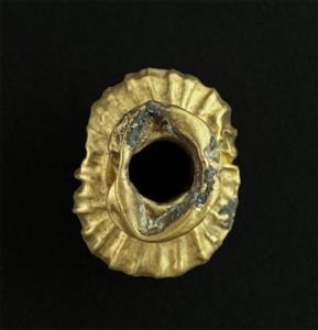 Bead Incised 
 Photographer:Clara Amit