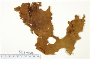 Fragments Textile
Photographer:Yolovitch Yael