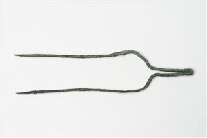 Tongs  
 Photographer:Meidad Suchowolski