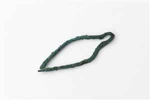 Tongs  
 Photographer:Meidad Suchowolski