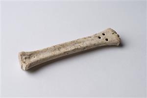 Worked Bone Perforated 
 Photographer:Meidad Suchowolski