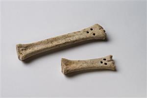 Worked Bone Perforated 
 Photographer:Meidad Suchowolski