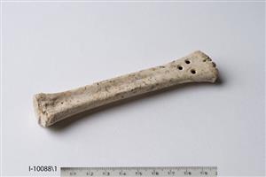 Worked Bone Perforated 
 Photographer:Meidad Suchowolski