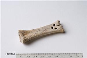 Worked Bone Perforated 
 Photographer:Meidad Suchowolski