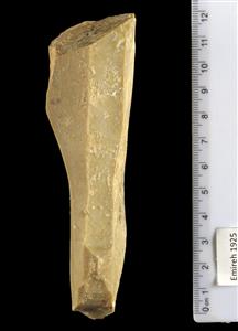 Blade Core  
 Photographer:Clara Amit