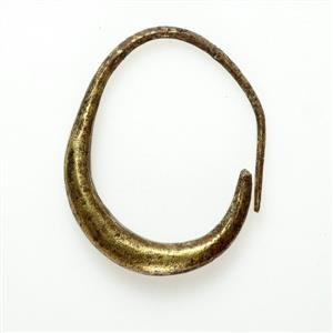 Earring  
 Photographer:Clara Amit