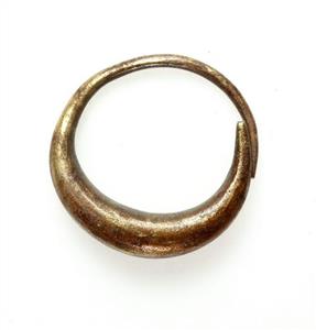 Earring  
 Photographer:Clara Amit