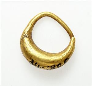 Earring  
 Photographer:Clara Amit