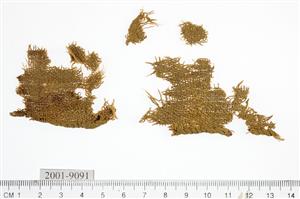 Fragment Textile
Photographer:Yolovitch Yael
