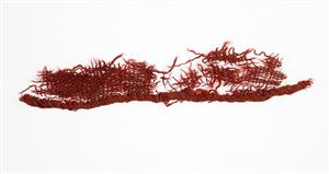 Fragment Textile
Photographer:Yolovitch Yael