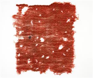 Fragment Textile
Photographer:Yolovitch Yael