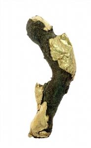 Arm Figurine   
 Photographer:Clara Amit