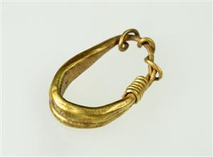 Earring  
 Photographer:Clara Amit