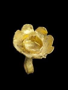 Pendant Flower 
 Photographer:Clara Amit