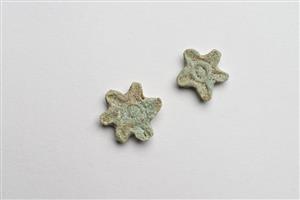 Amulet Five-Rayed Star 
 Photographer:Meidad Suchowolski