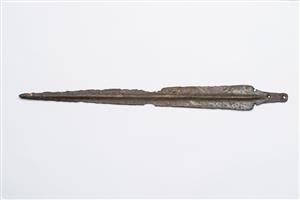 Dagger  
 Photographer:Meidad Suchowolski