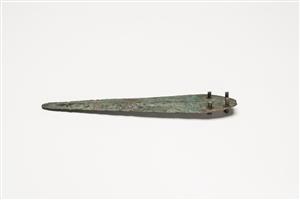 Dagger  
 Photographer:Meidad Suchowolski