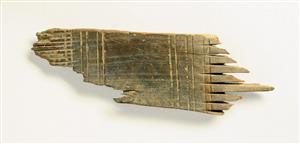 Fragment Comb
Photographer:Clara Amit