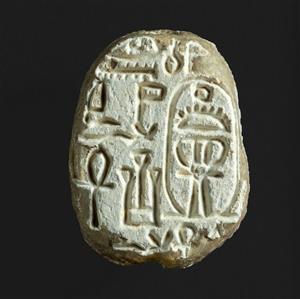 Scarab
Photographer:Clara Amit
