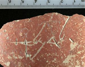 Body Sherd Inscribed
Photographer:Clara Amit