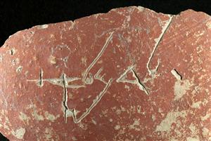 Body Sherd Inscribed 
 Photographer:Clara Amit