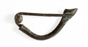 Fibula  
 Photographer:Clara Amit