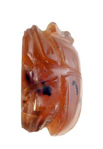 Scarab Human/Semi-Divine/Divine Image
Photographer:Clara Amit