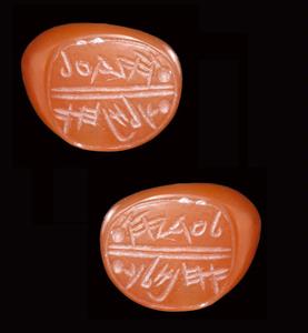 Stamp Seal Private
Photographer:Clara Amit
