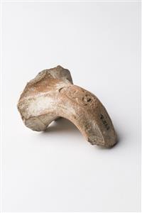 Handle Jar Four-Winged "lmlk s(w)kh" Impression  
 Photographer:Meidad Suchowolski