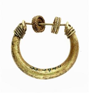 Earring  
 Photographer:Clara Amit