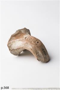 Handle Jar Four-Winged "lmlk s(w)kh" Impression
Photographer:Meidad Suchowolski