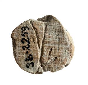 Bulla Inscribed
Photographer:Clara Amit