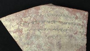 Ostracon Hebrew 
 Photographer:Clara Amit